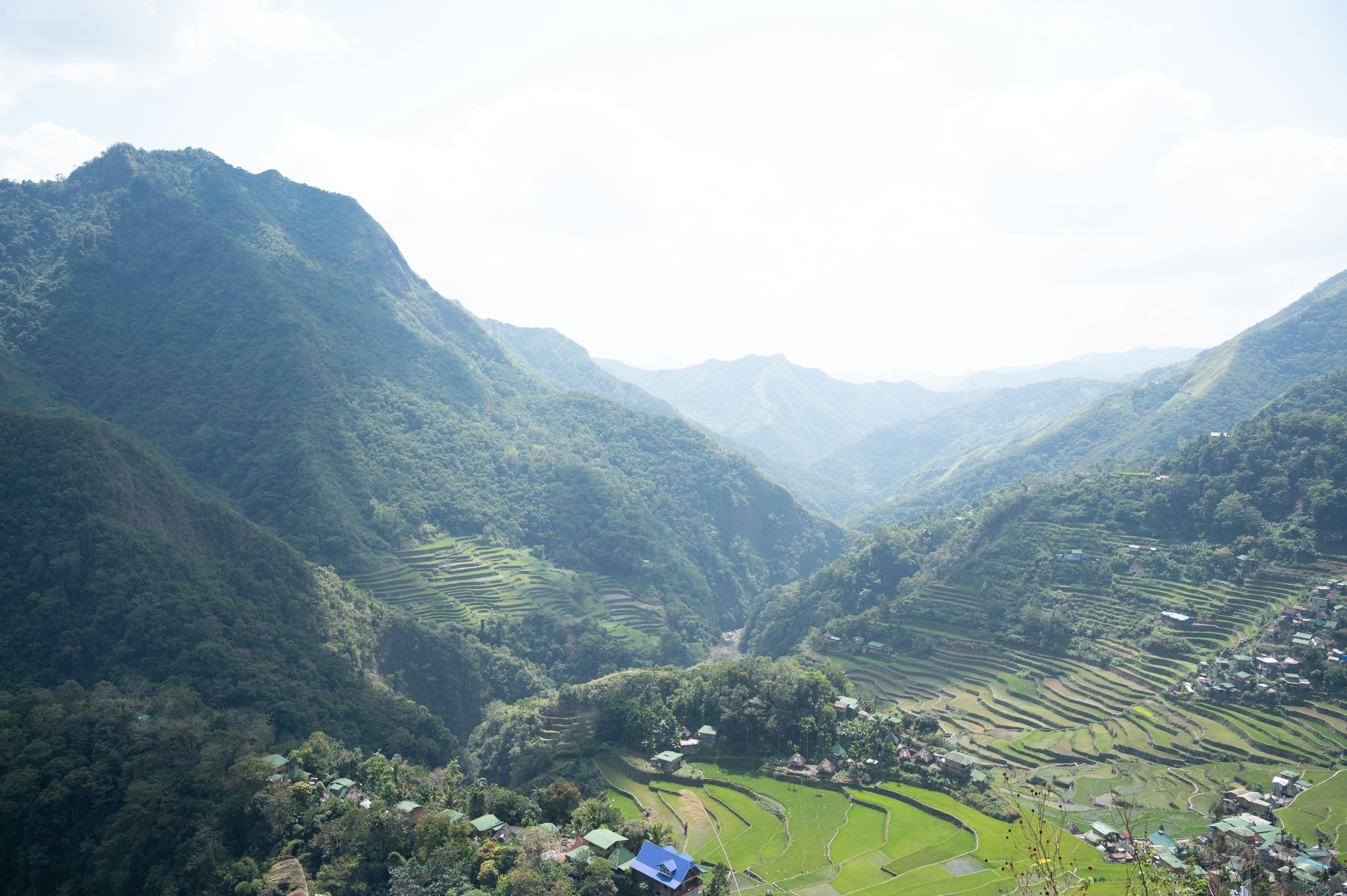 IH 전기밥솥 원리, 밥맛이 달라지는 과학적 이유