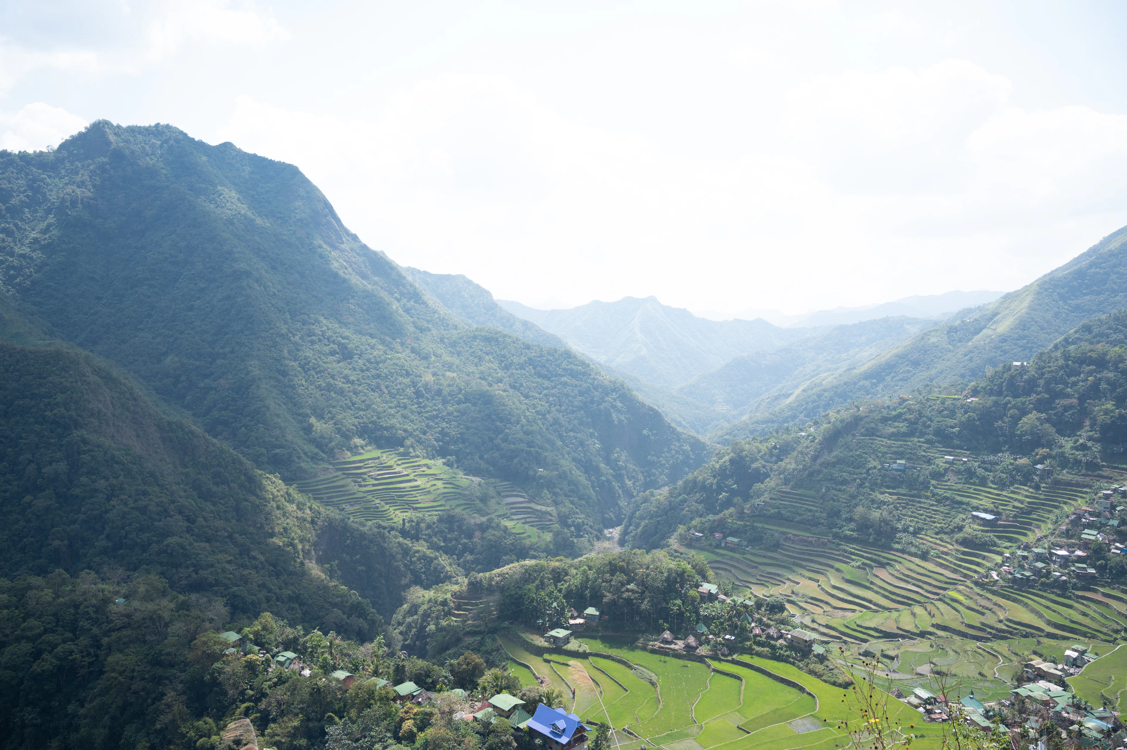 The amphitheatre of the Batad rice terraces and its village in a deep mountain valley, Ifugao