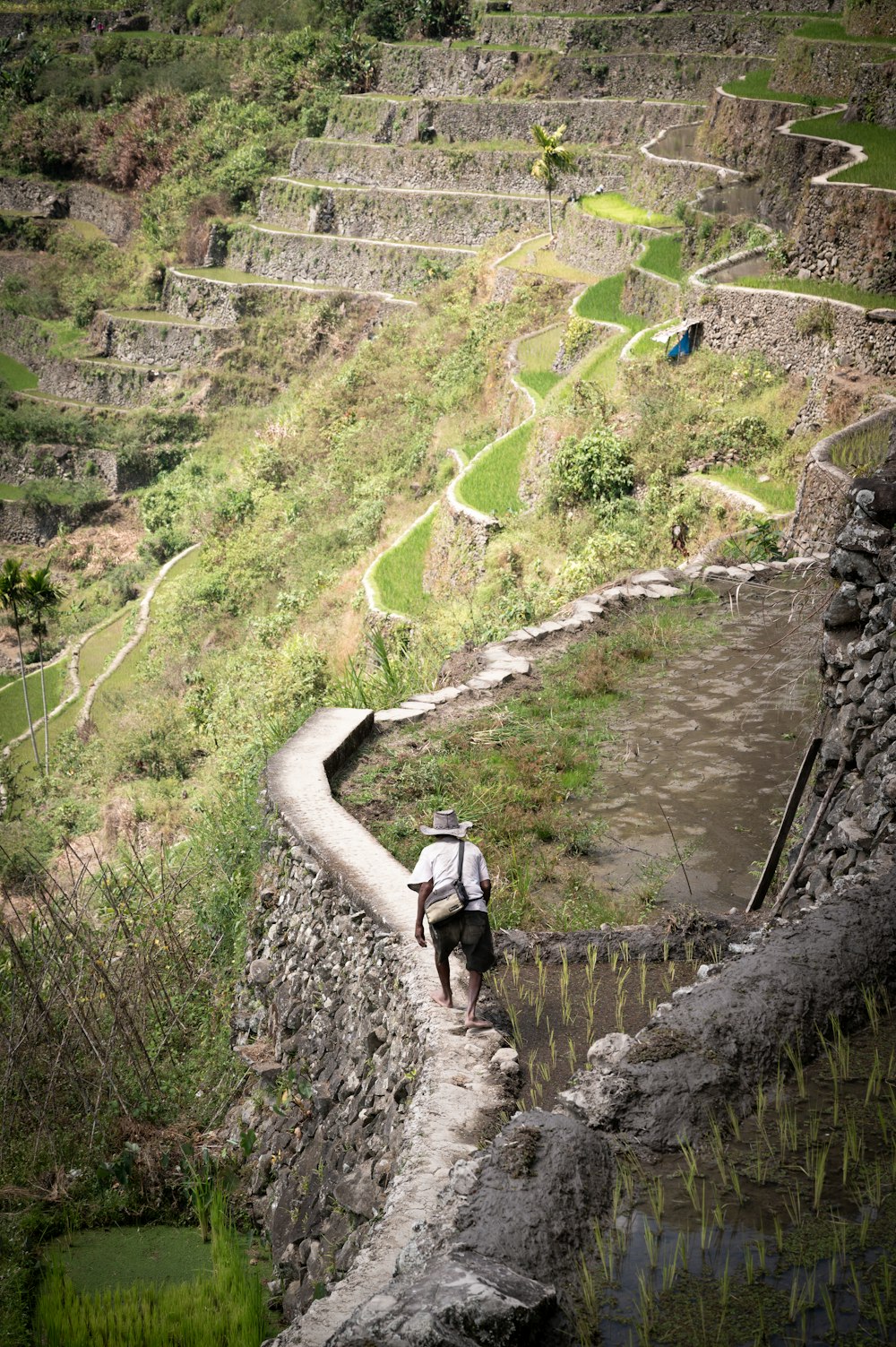 a man walking up a steep hill next to a body of water