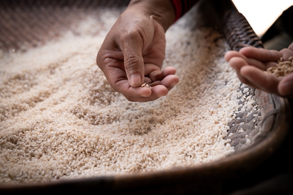 a person holding a handful of grain in their hands