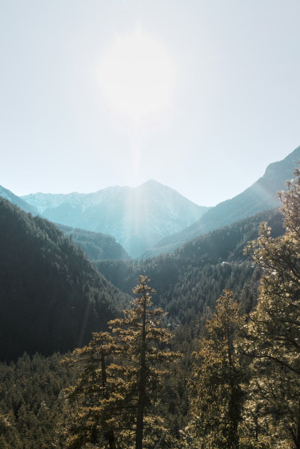 a view of a mountain range with trees in the foreground