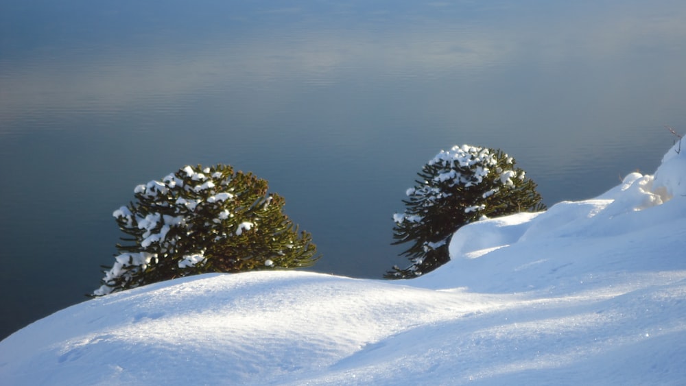 a snowboarder is going down a snowy hill