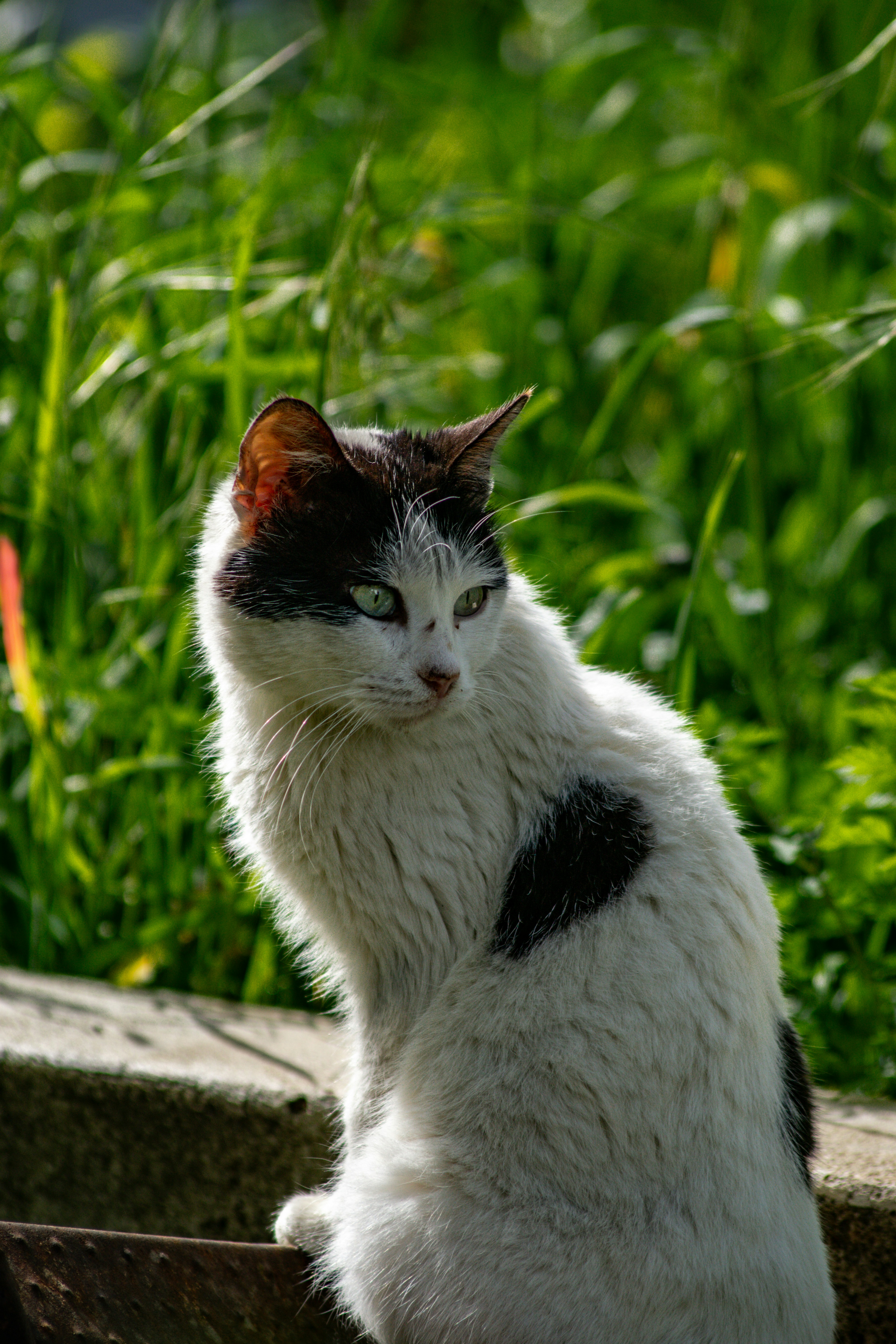 Photo by diogocardoso28