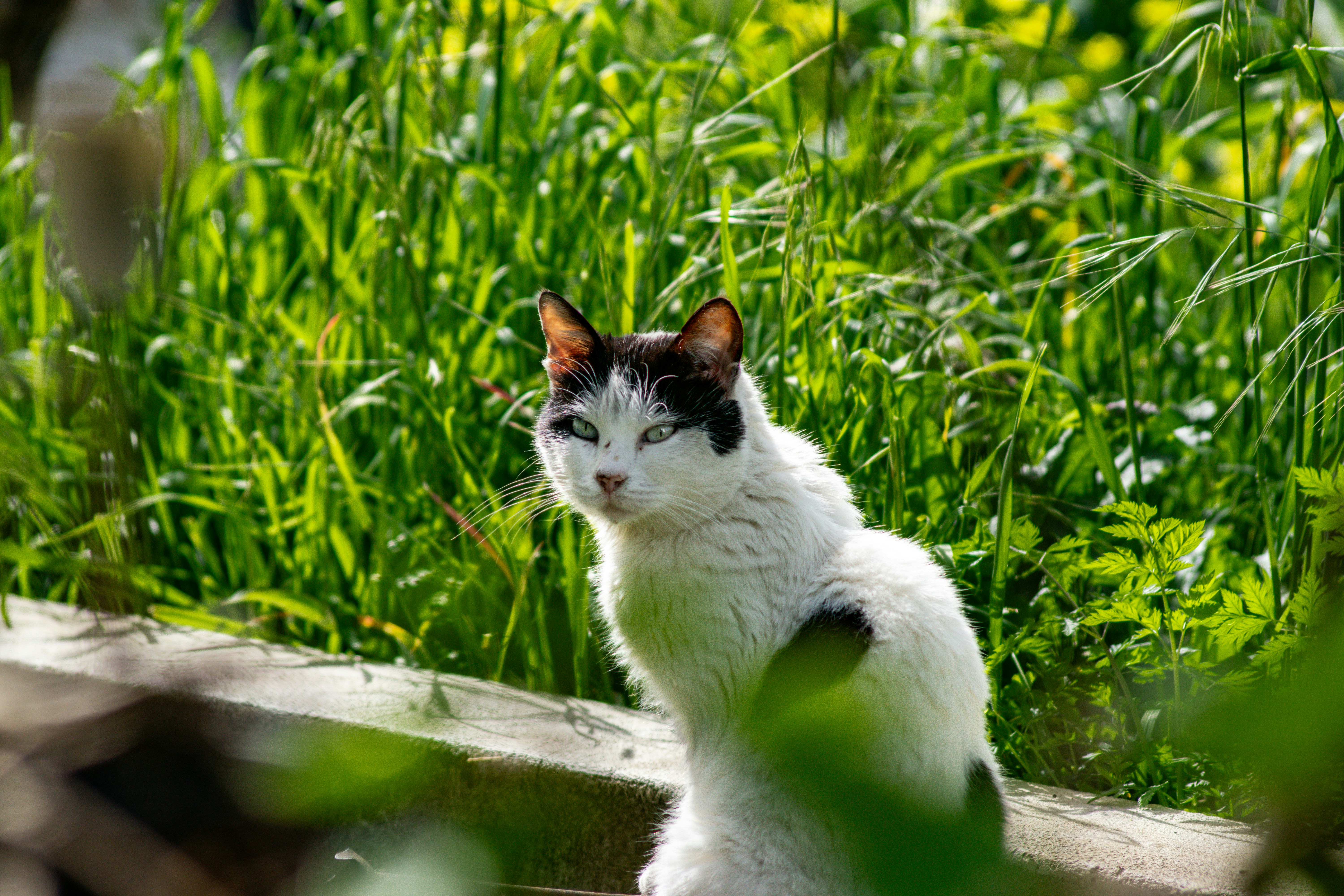 Photo by diogocardoso28