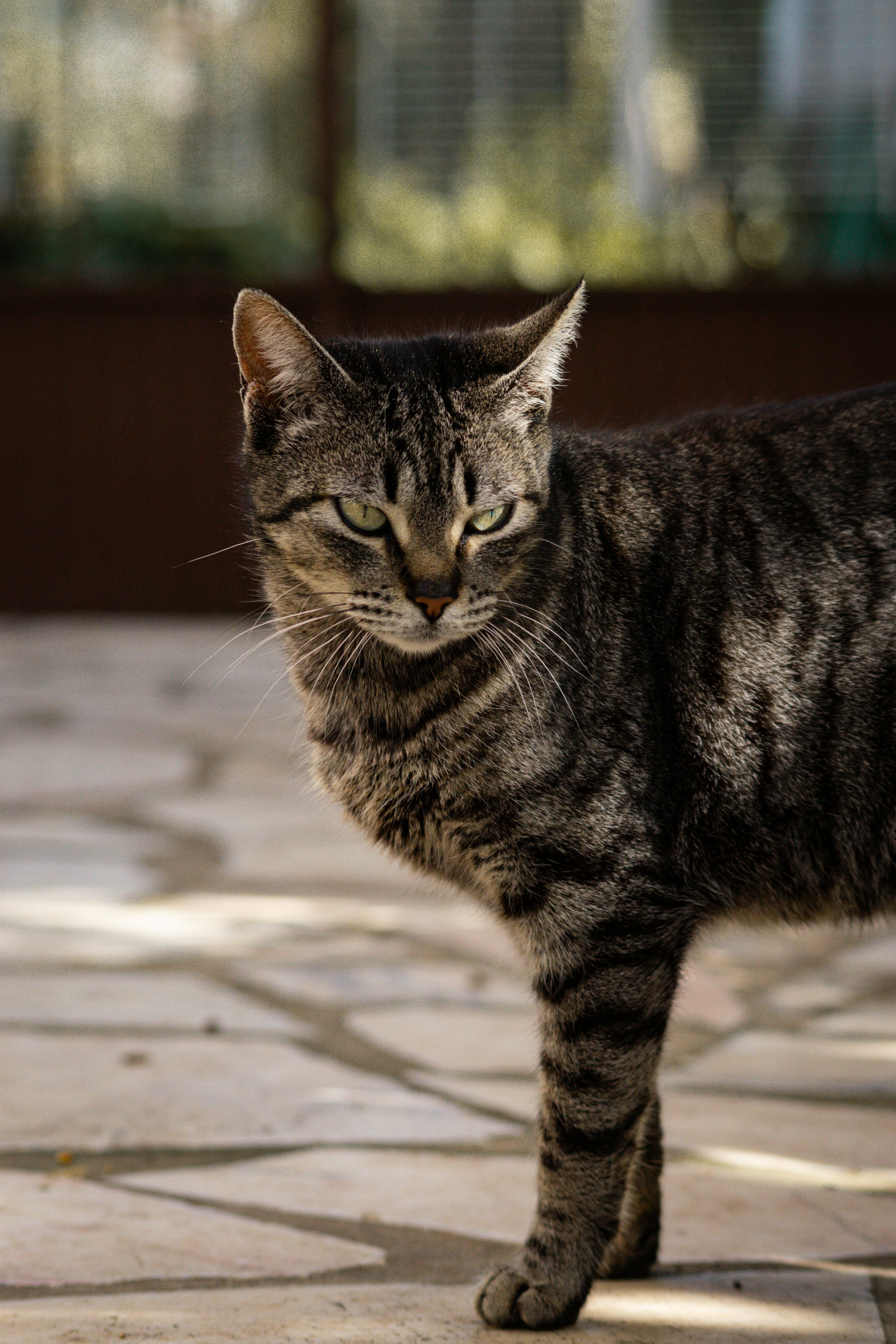 Photo by diogocardoso28