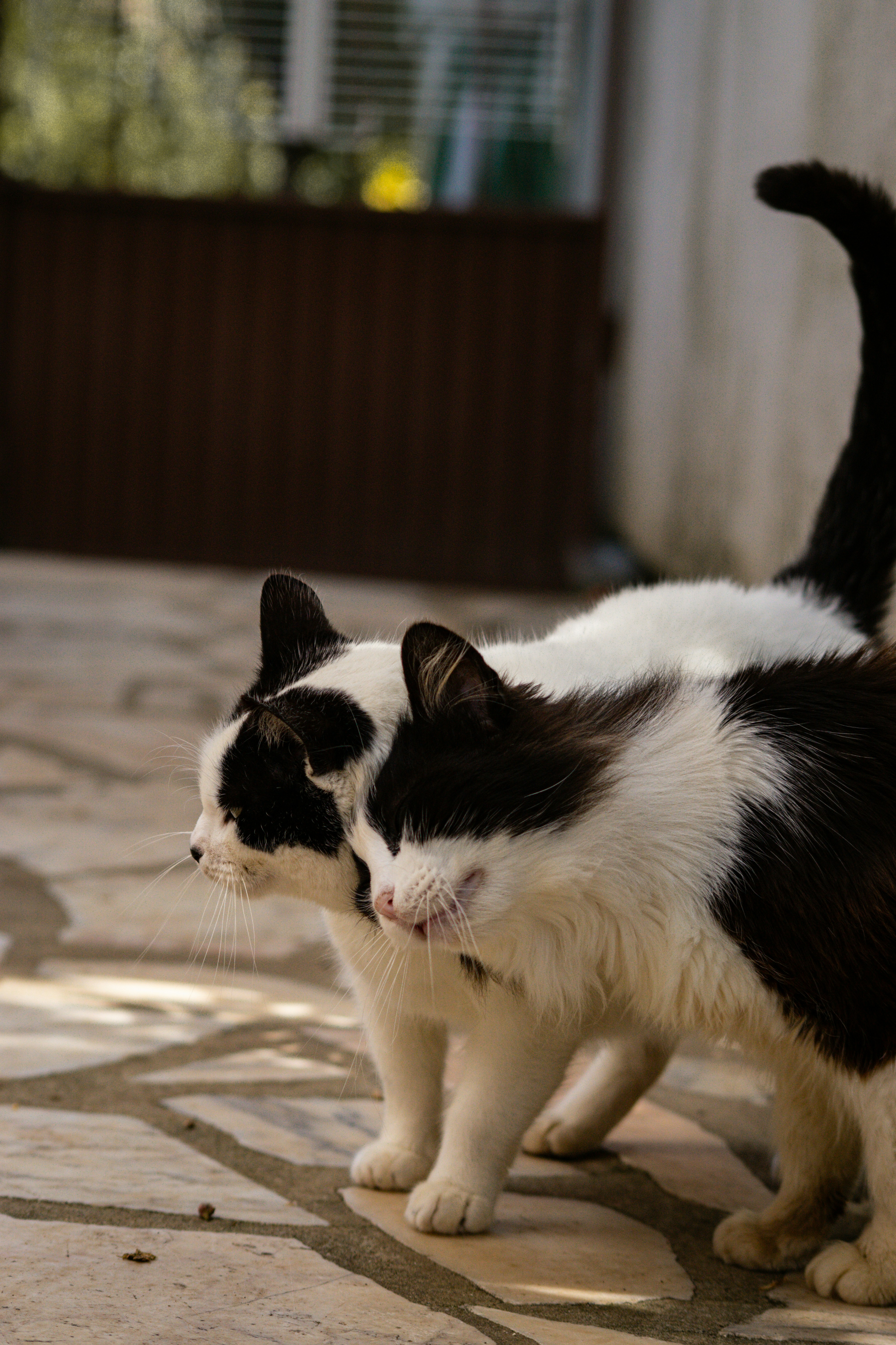 Photo by diogocardoso28