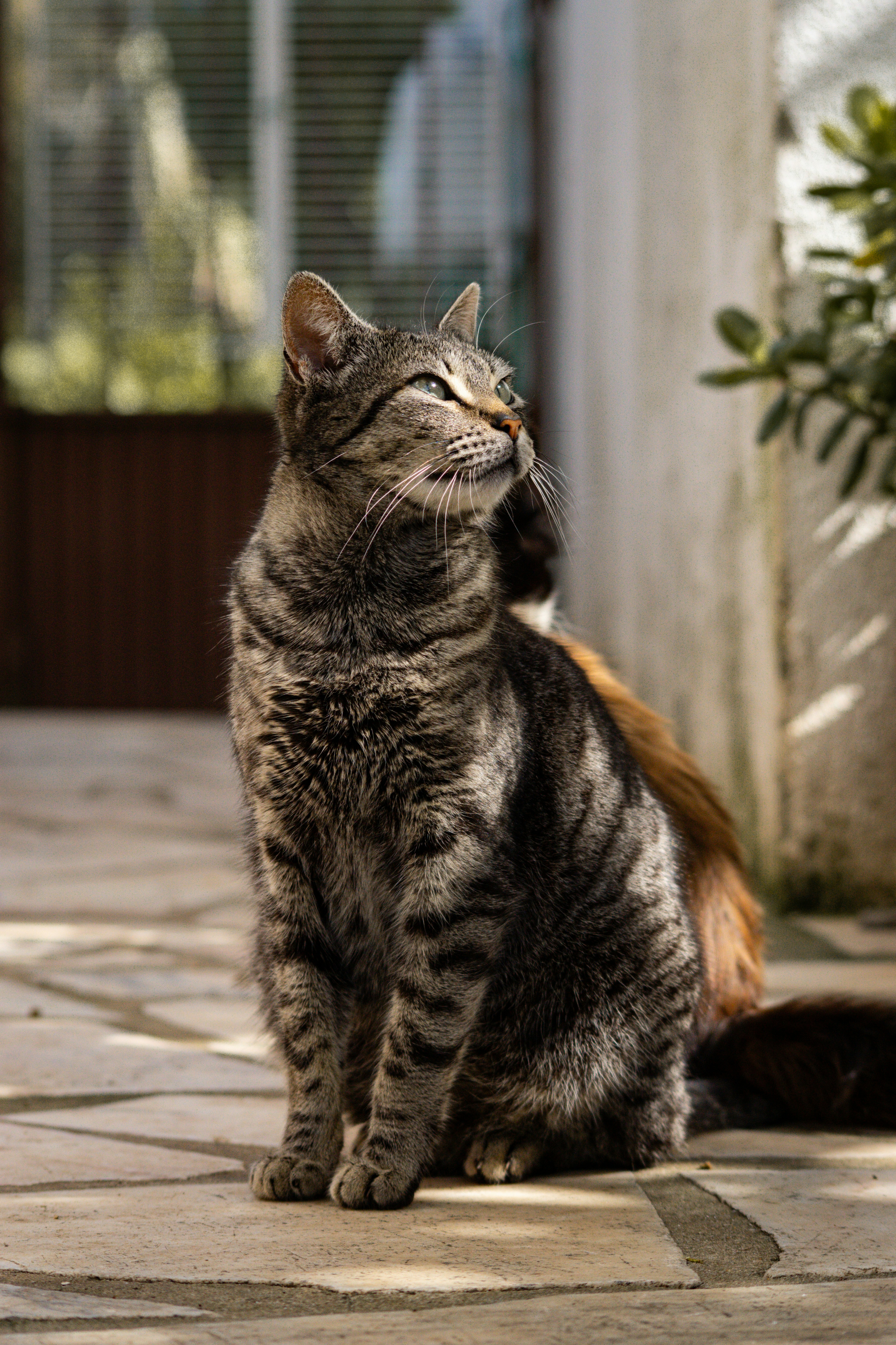 Photo by diogocardoso28