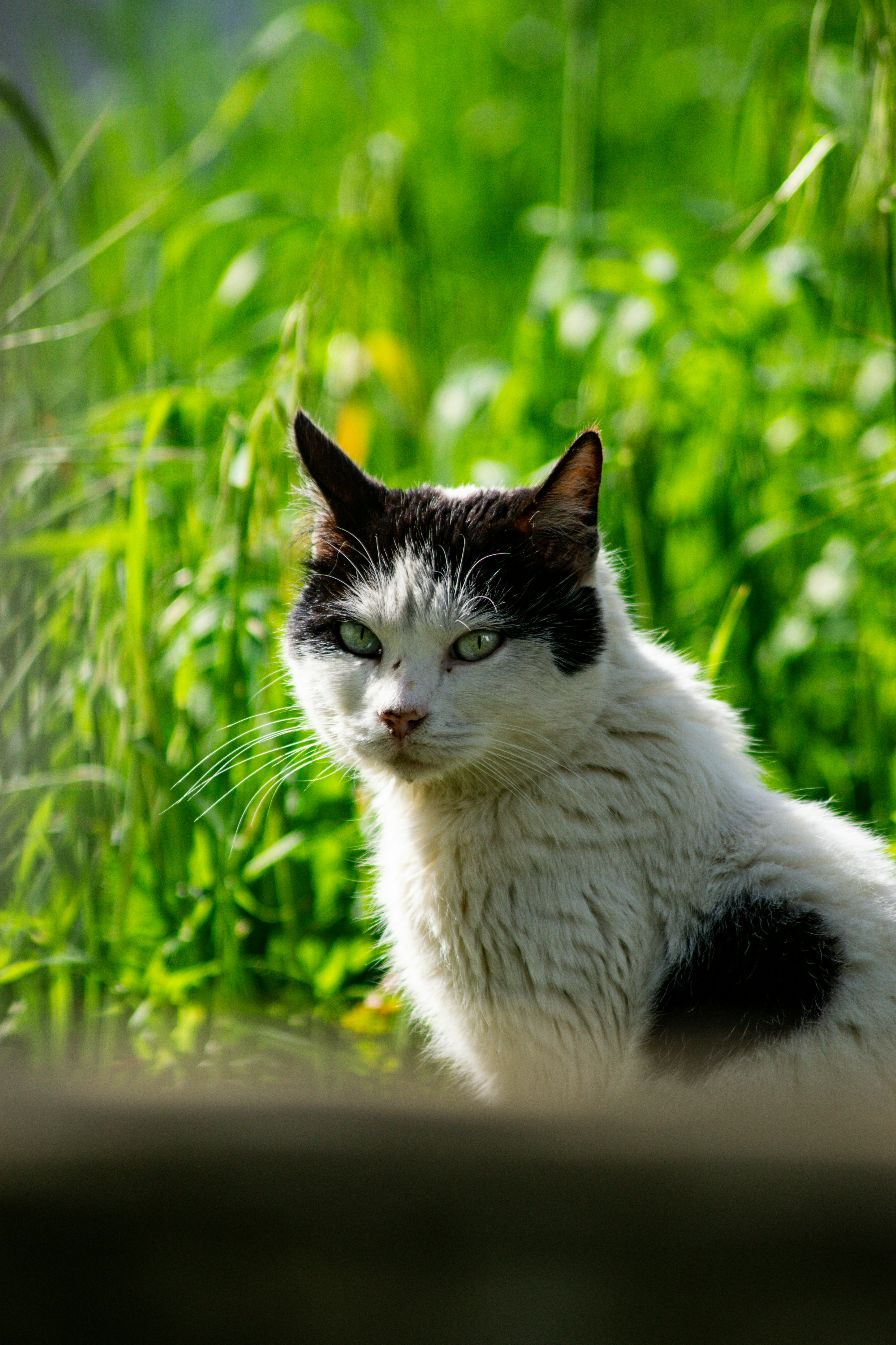 Photo by diogocardoso28