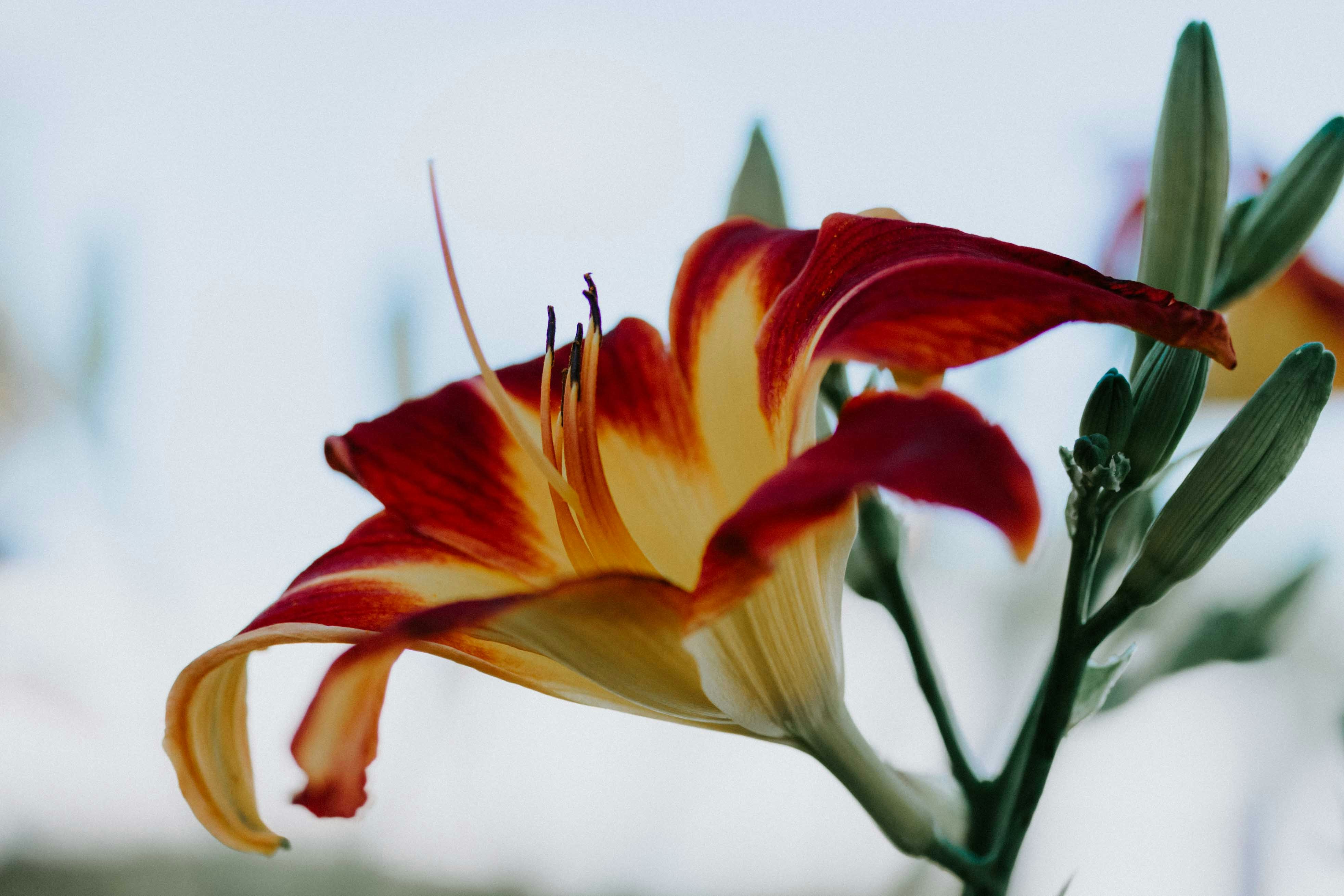 Photo by tricia_anne