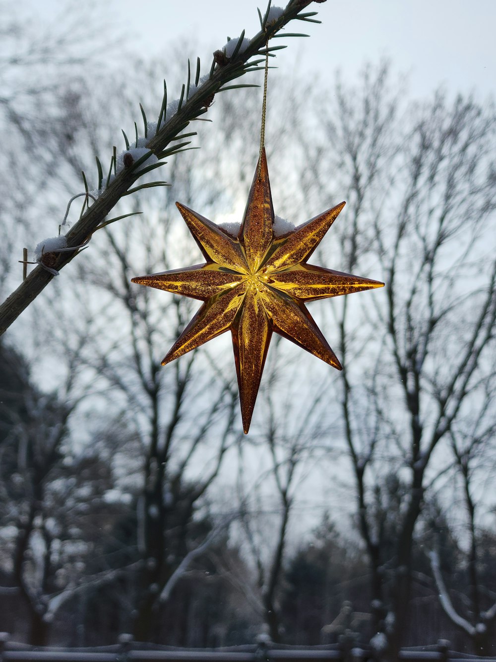 a star shaped ornament hanging from a tree branch