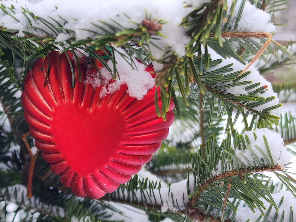 a heart shaped ornament hanging from a pine tree