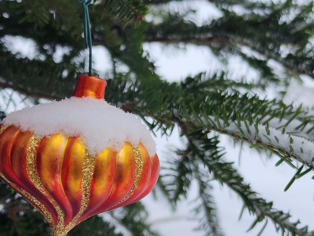 a red ornament hanging from a pine tree