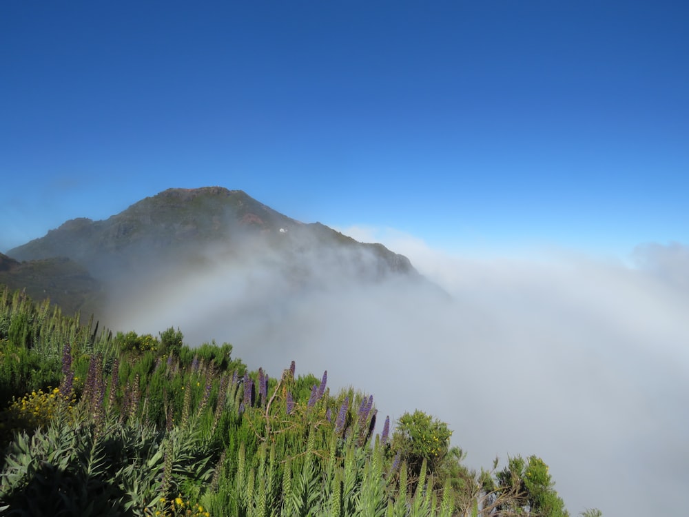 a view of a mountain covered in clouds