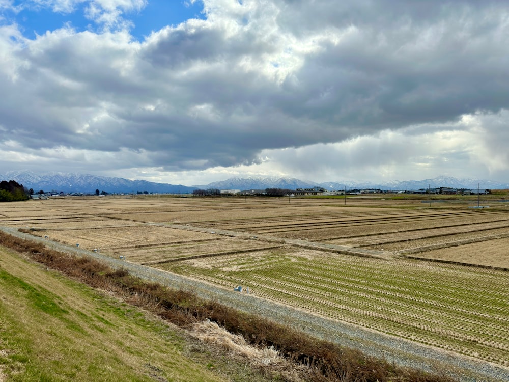 a large field of grass with mountains in the background