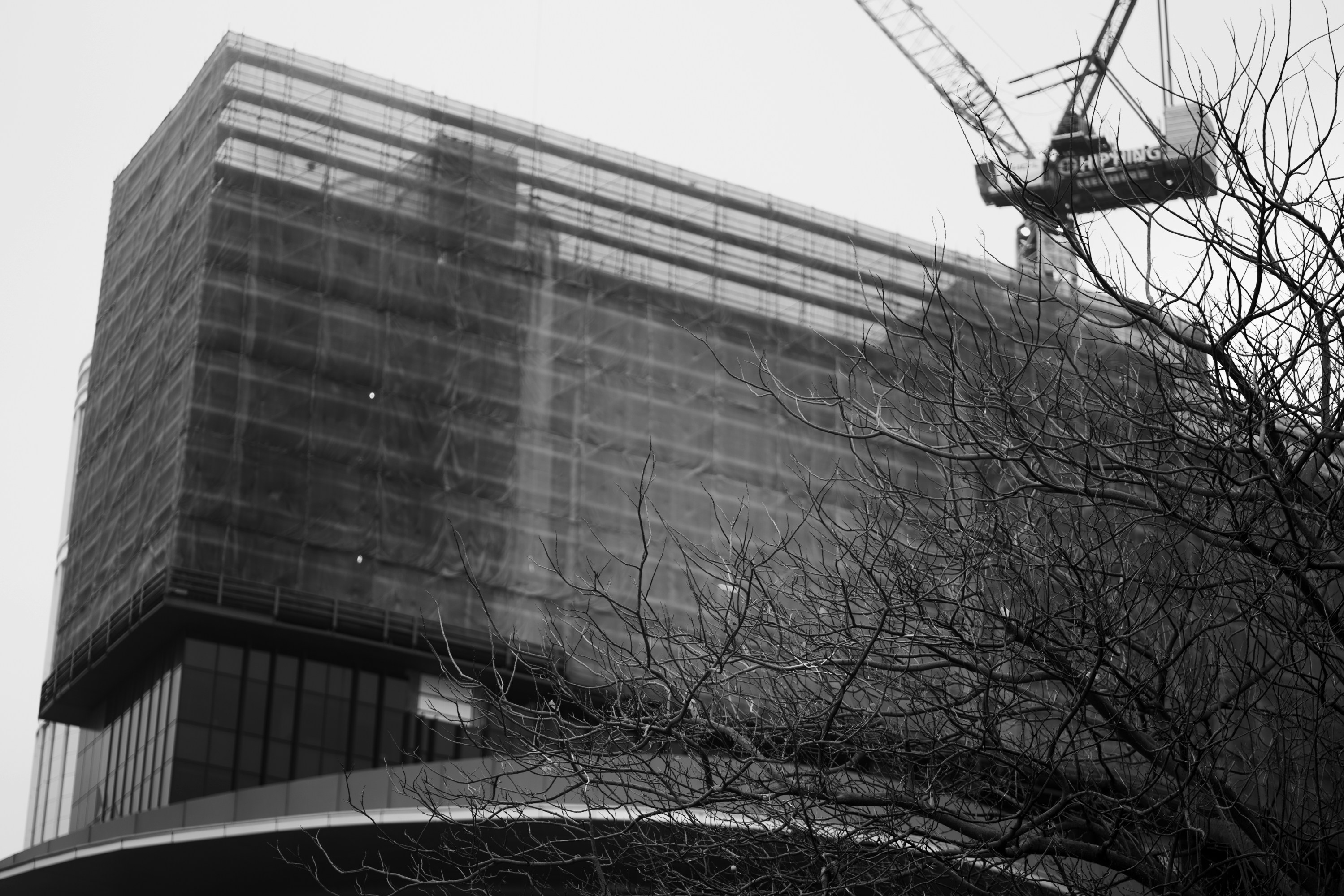 A crane standing on top of a building