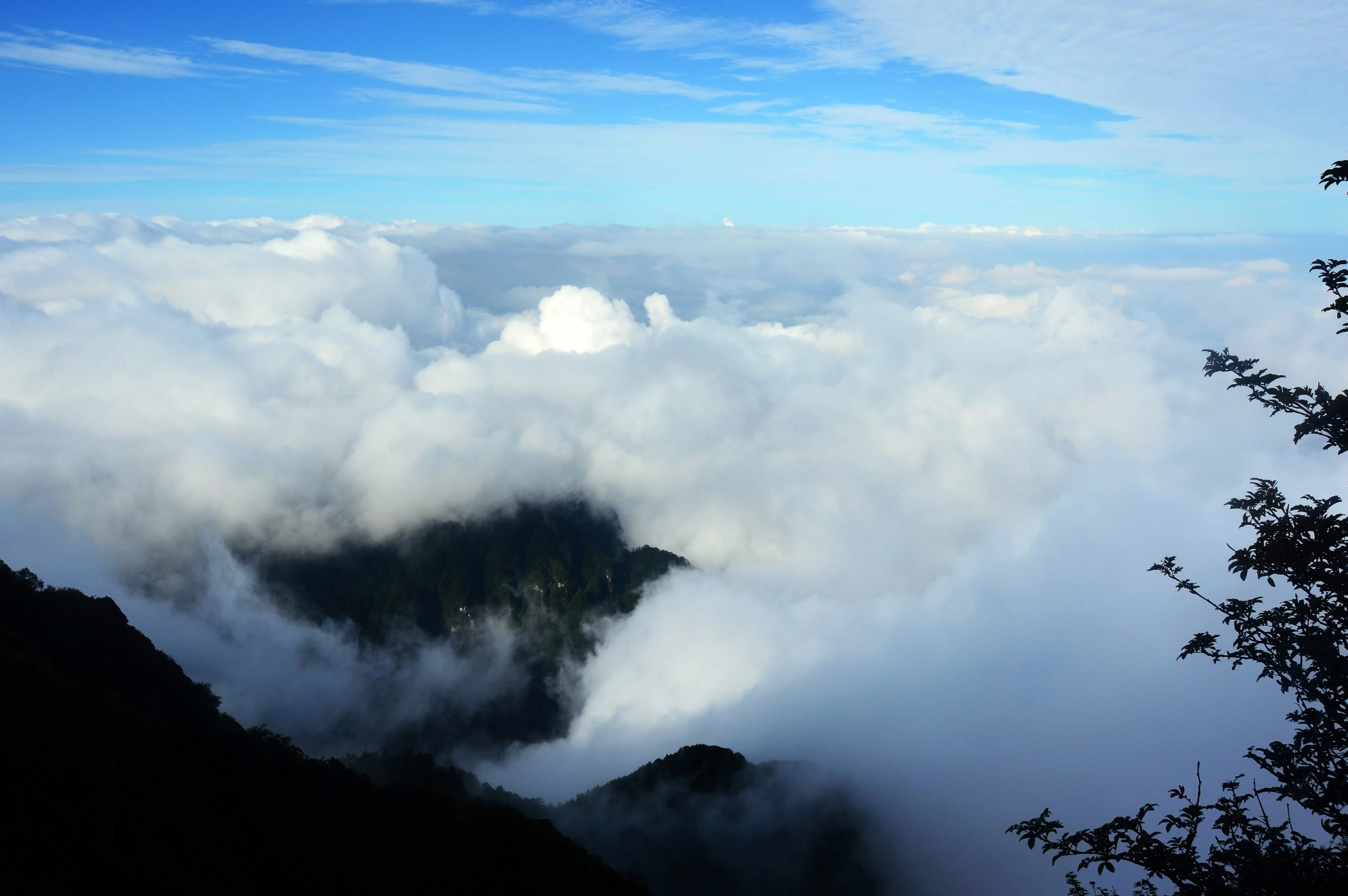 Photo by yiminburger