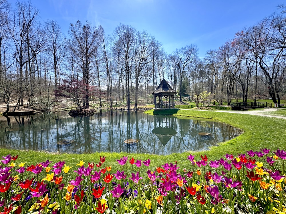 a pond with a gazebo surrounded by colorful flowers