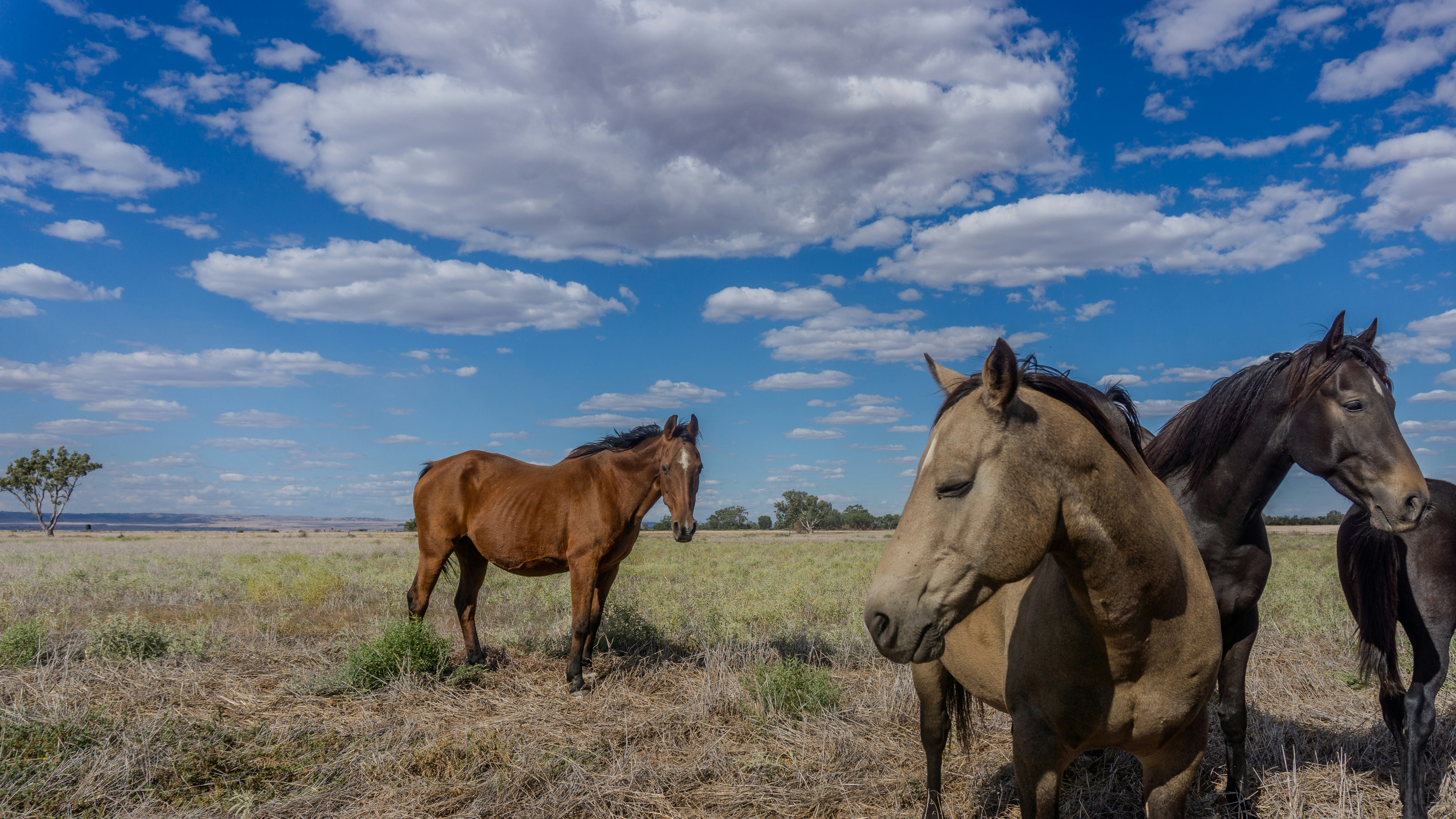 Photo by charles_lockyer