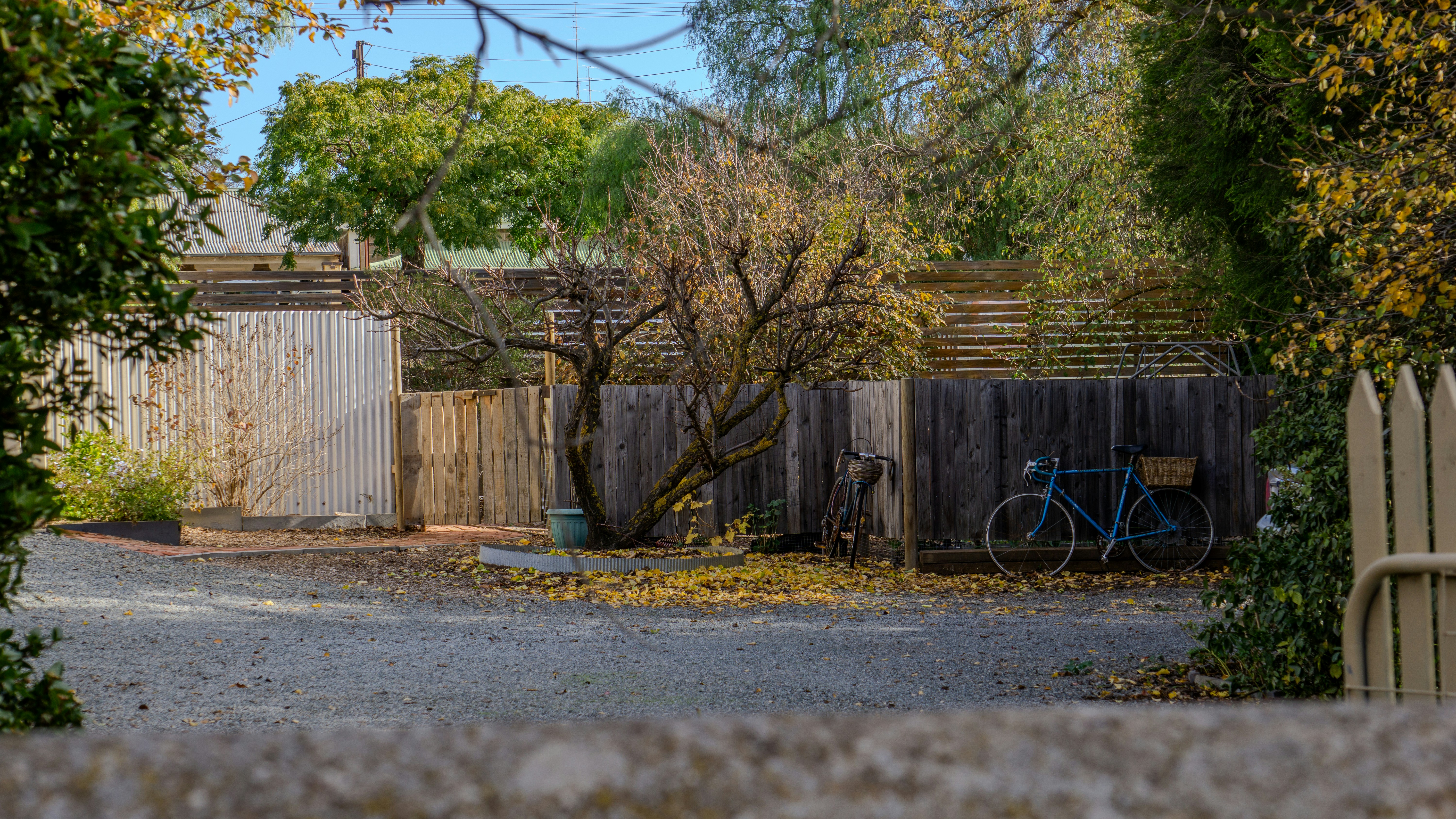 Photo by charles_lockyer