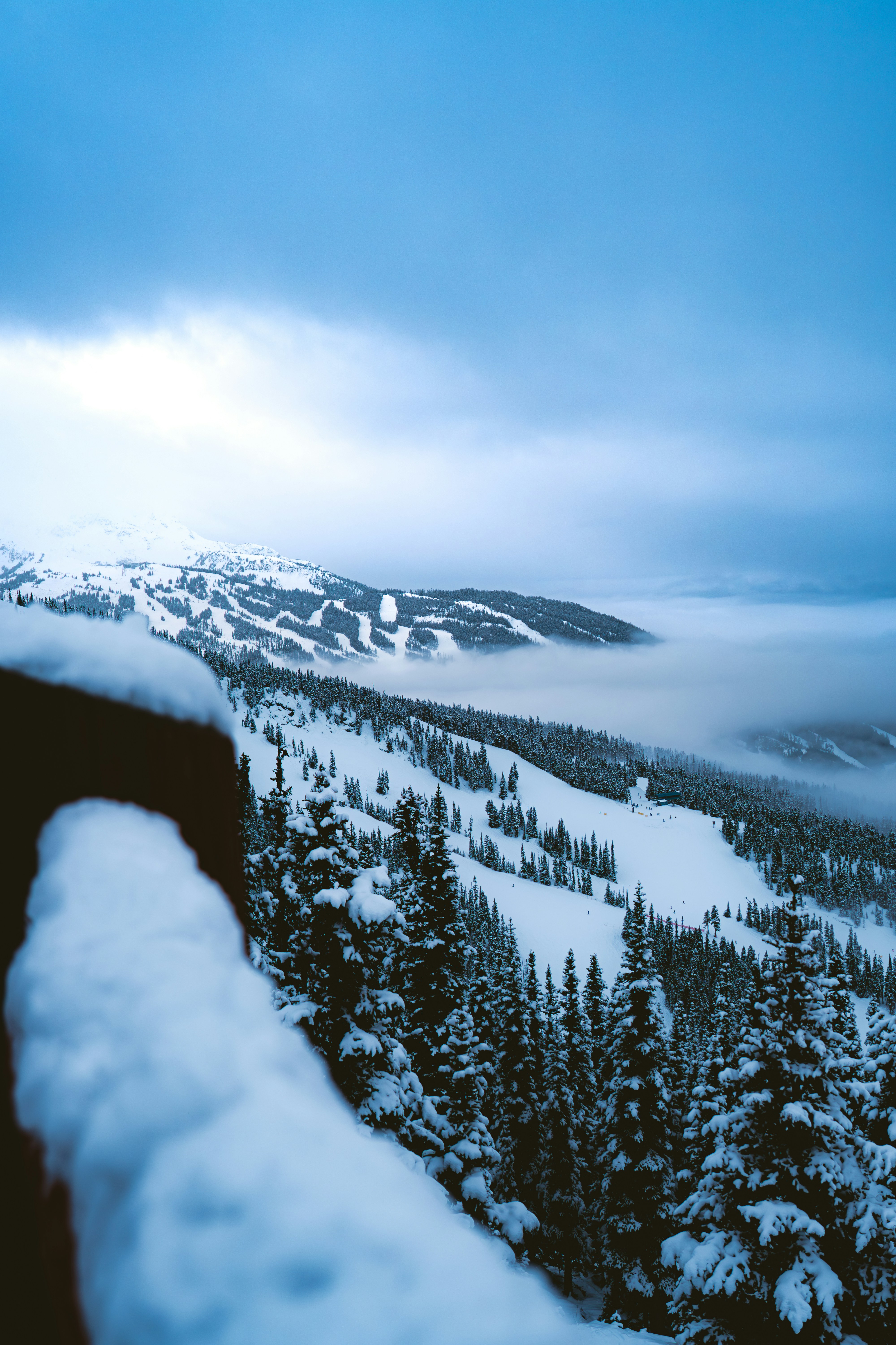 Photo by damiankravchuk