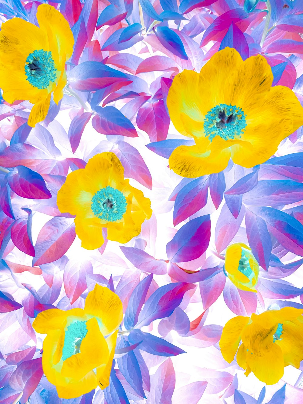 a bunch of colorful flowers on a white background