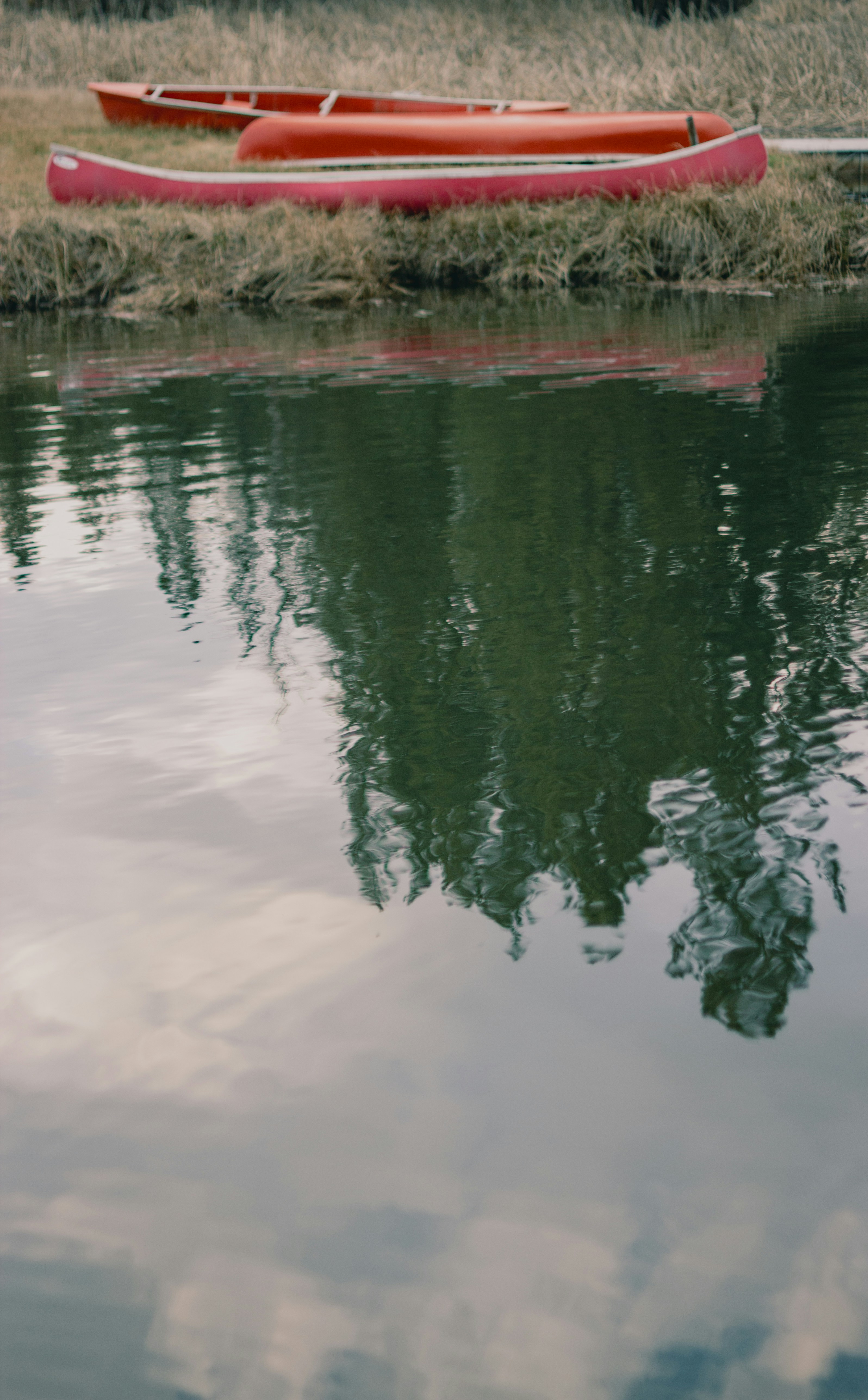 Photo by calebbosman17