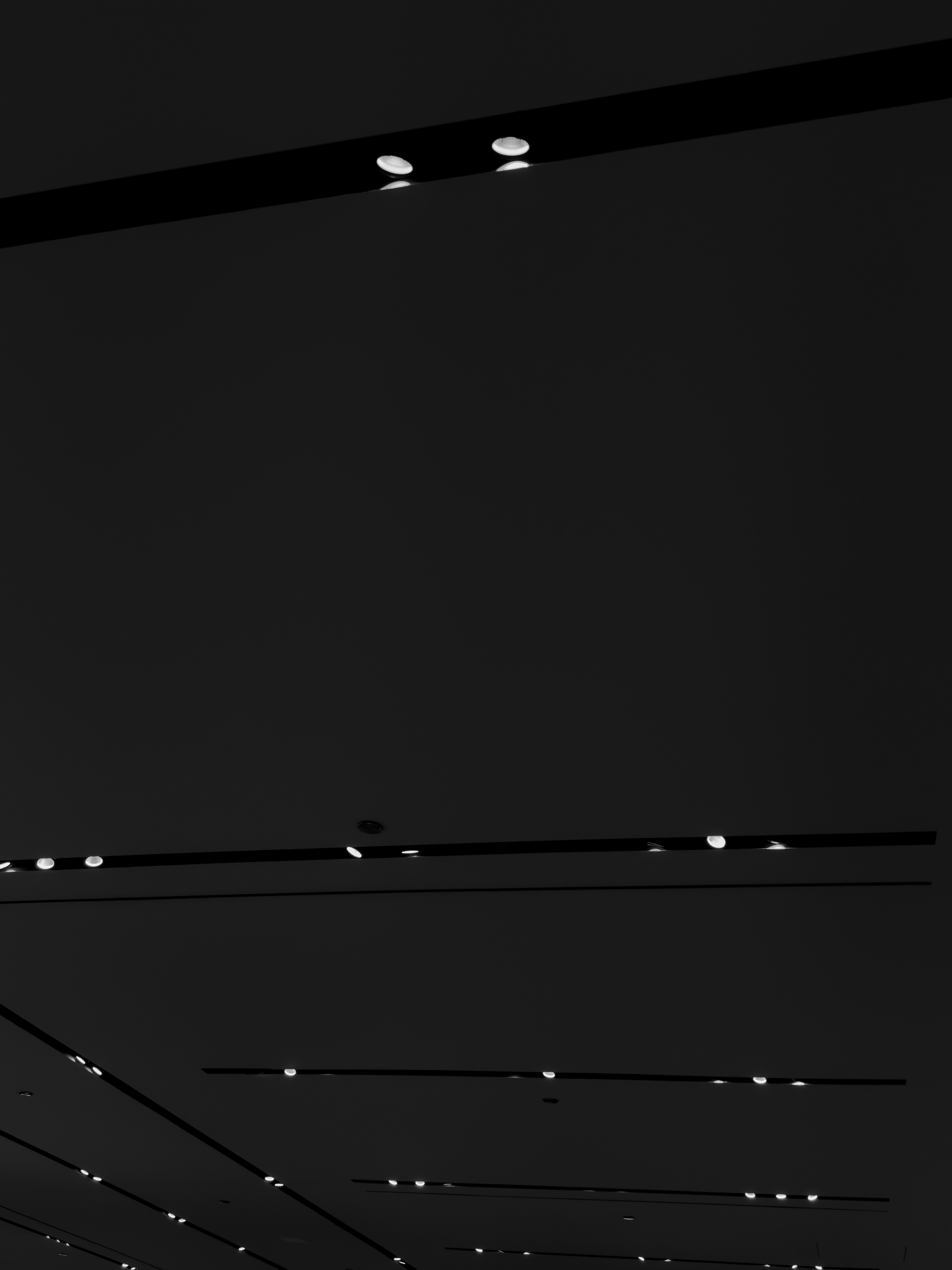 a black and white photo of a street light