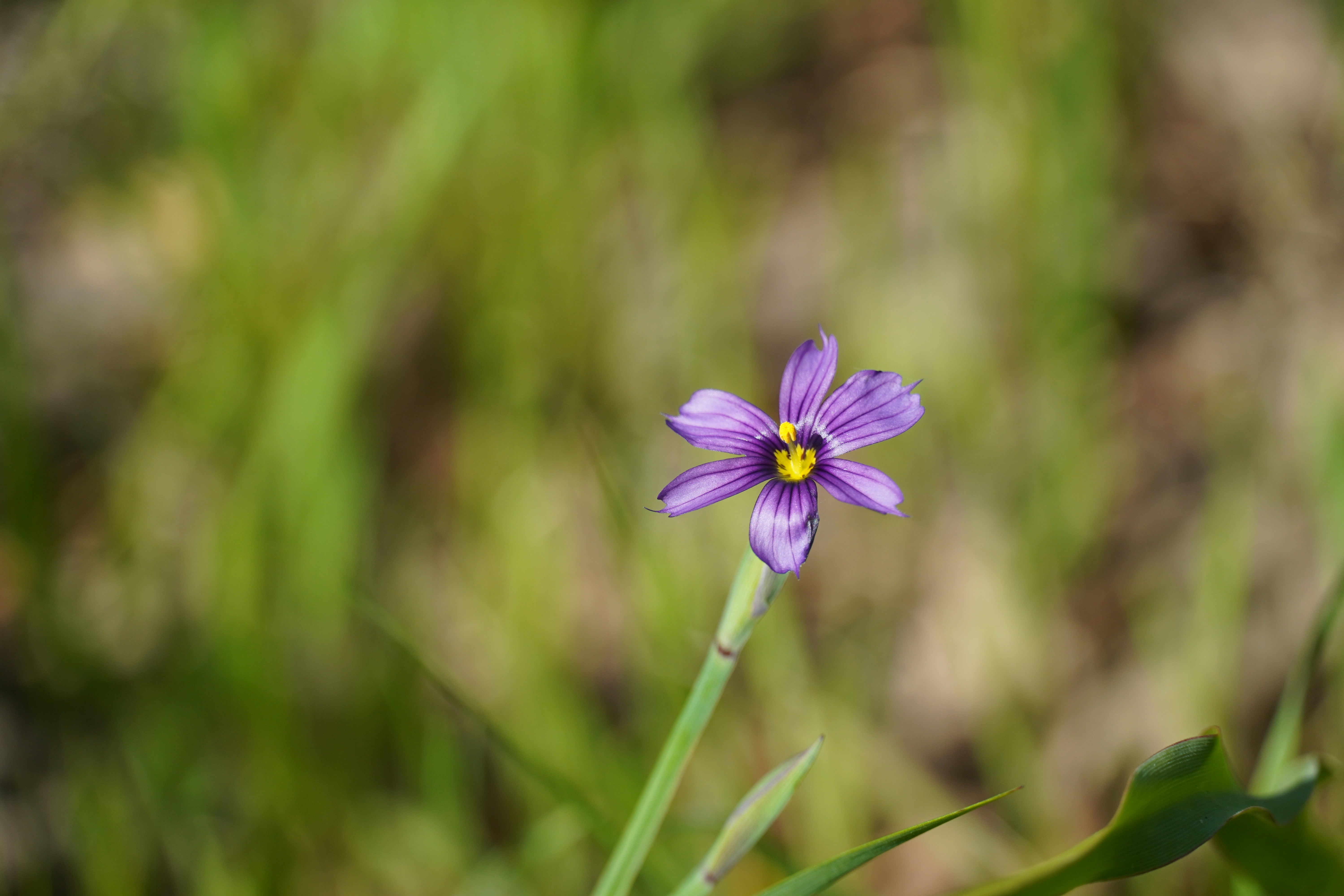 Photo by chapelbeach