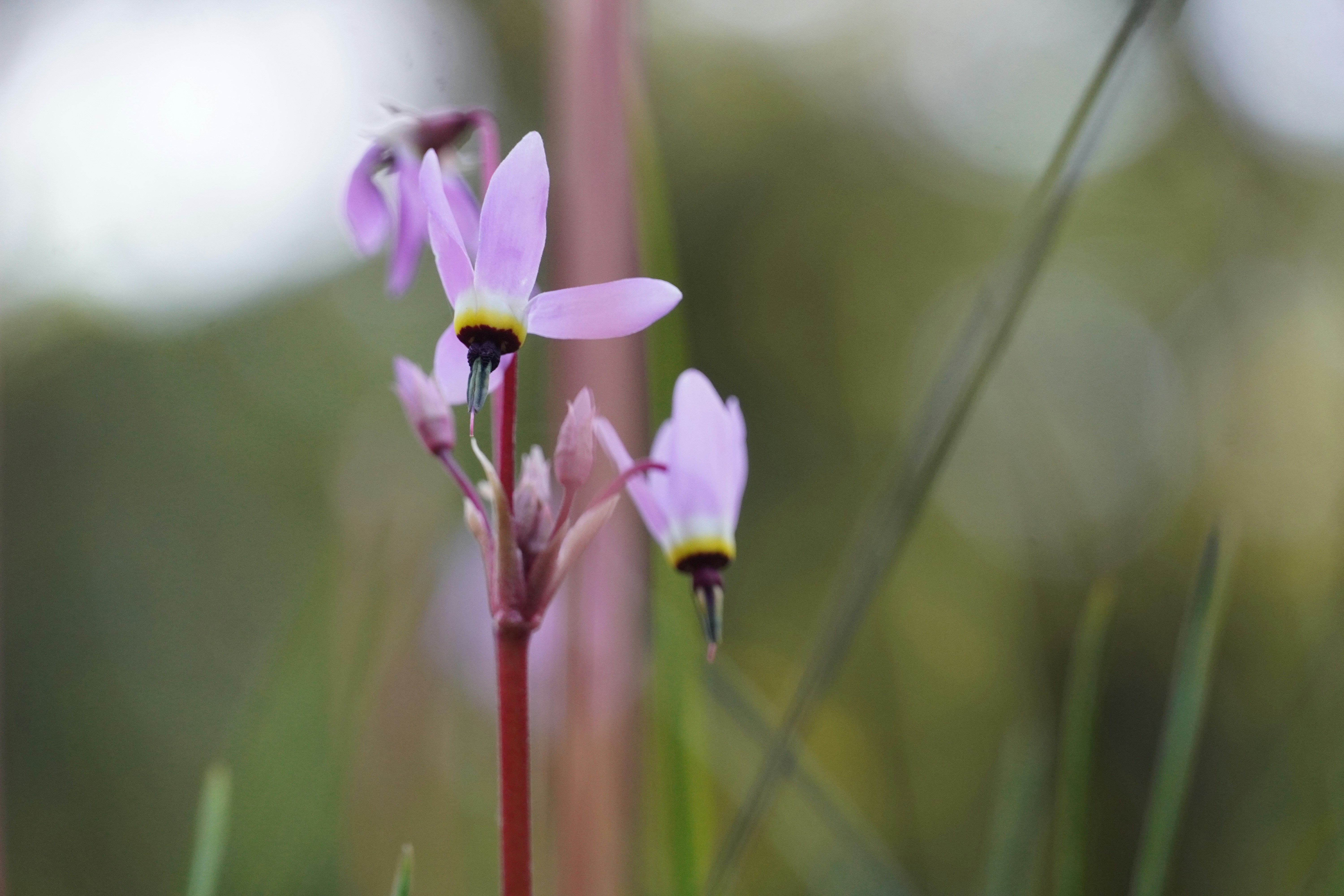 Photo by chapelbeach