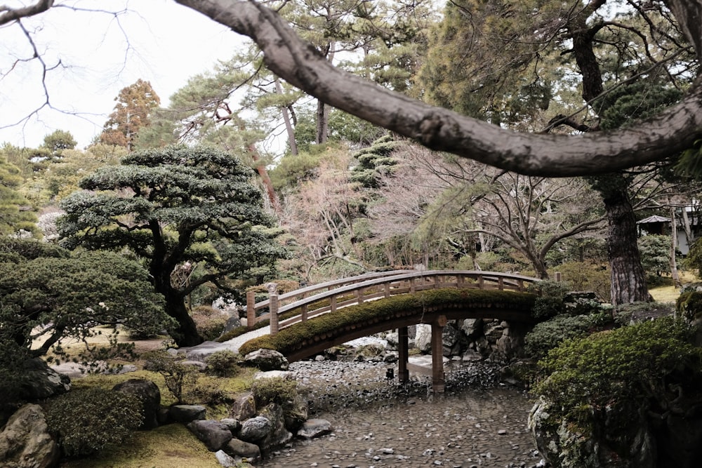 a wooden bridge over a small stream in a park