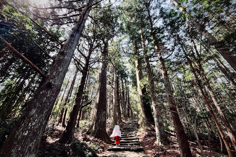 a woman in a red dress is walking through the woods