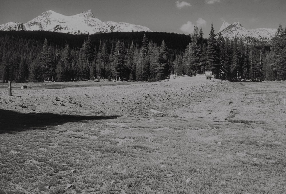 a black and white photo of a field with mountains in the background