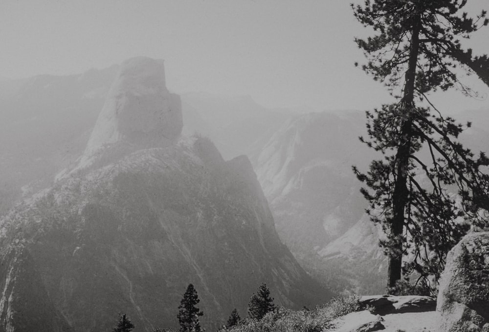 a black and white photo of mountains and trees