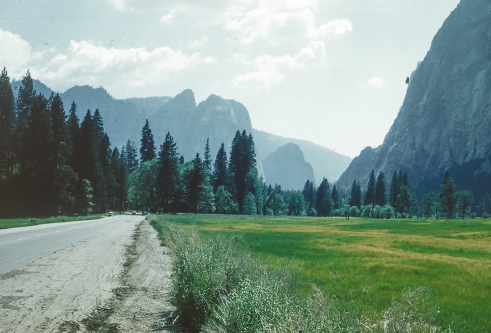 a dirt road in the middle of a grassy field