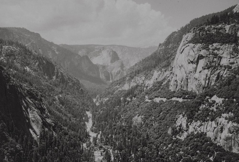 a black and white photo of mountains and trees