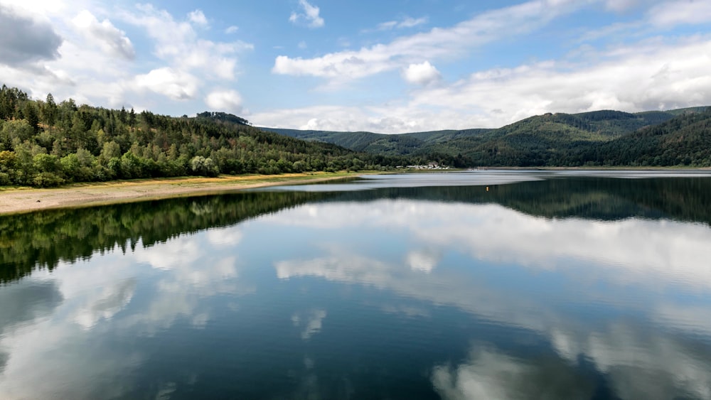 a large body of water surrounded by a forest