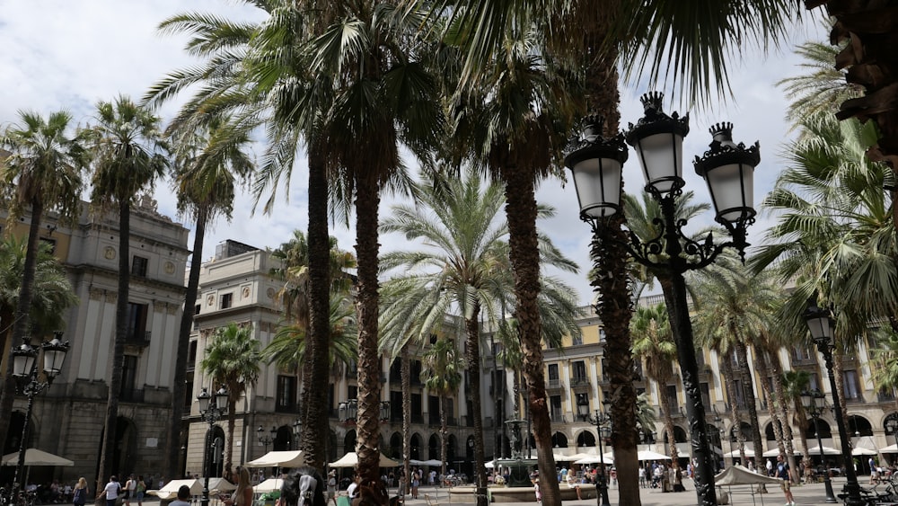 a group of palm trees in front of a building