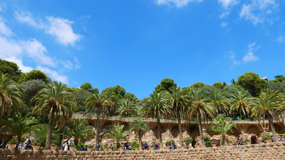 a group of people walking along a stone wall