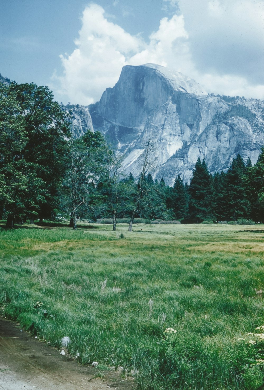 a field with a mountain in the background