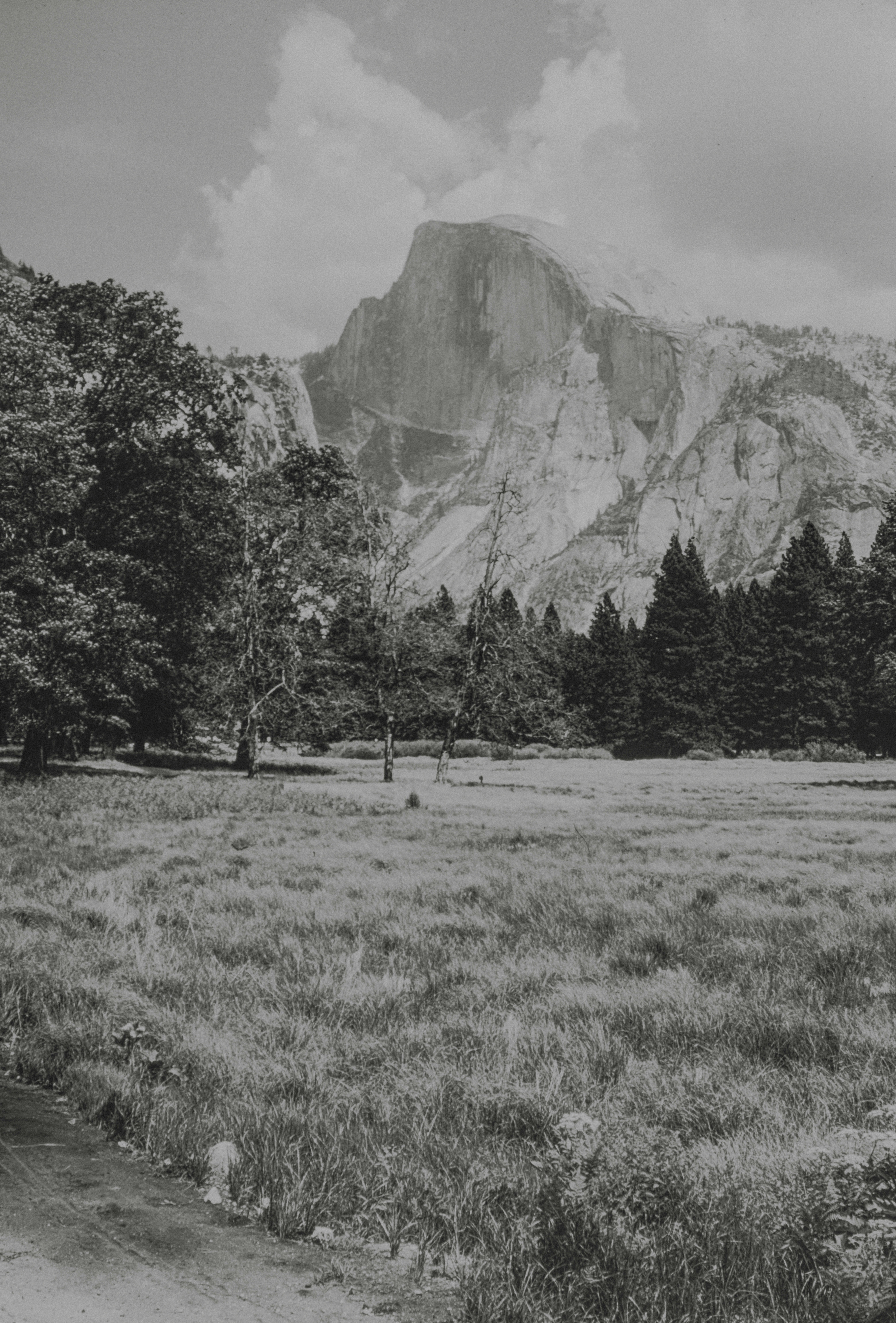 Photo by anniespratt