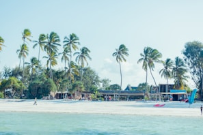 a beach with palm trees and people on it
