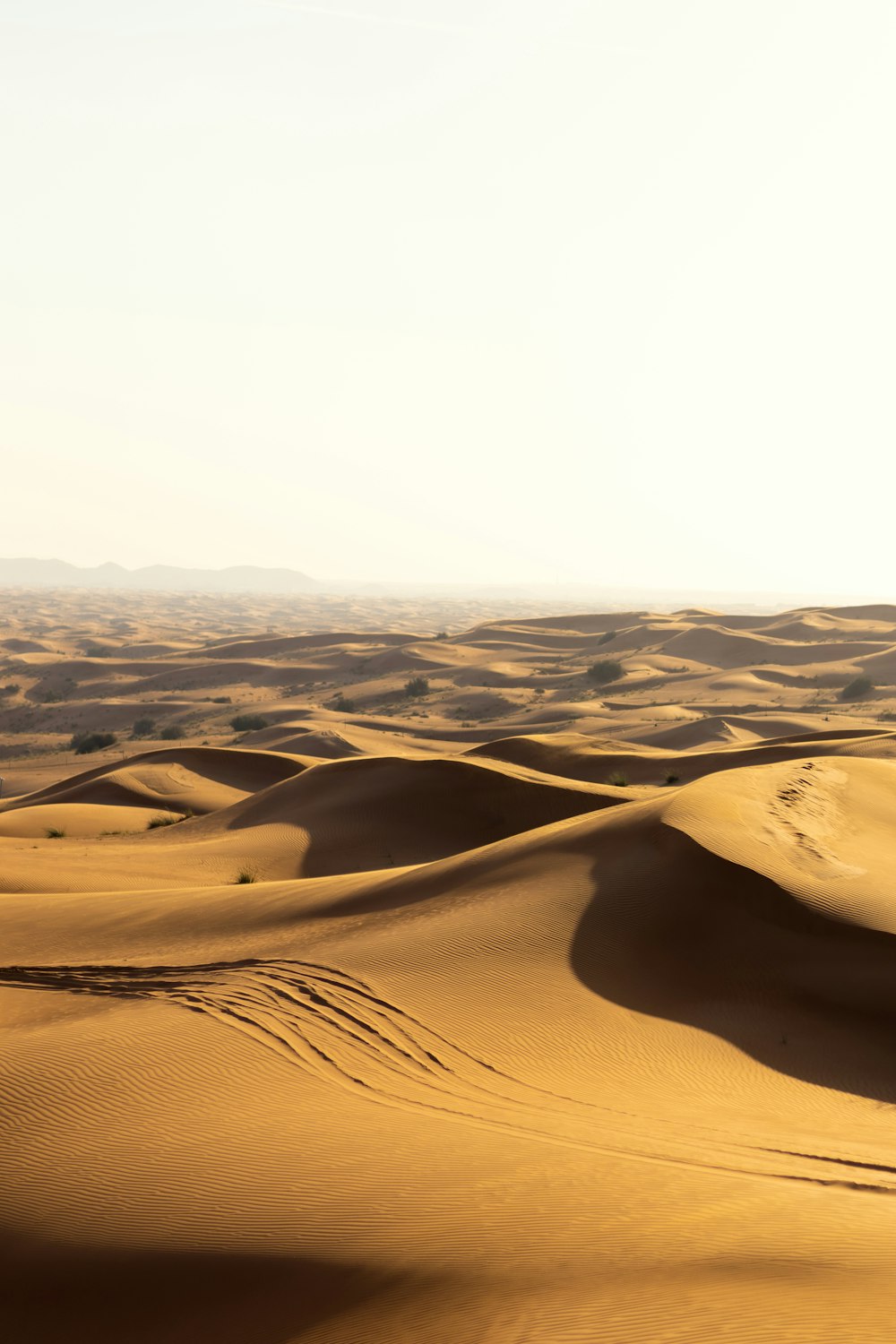 a person riding a horse in the desert