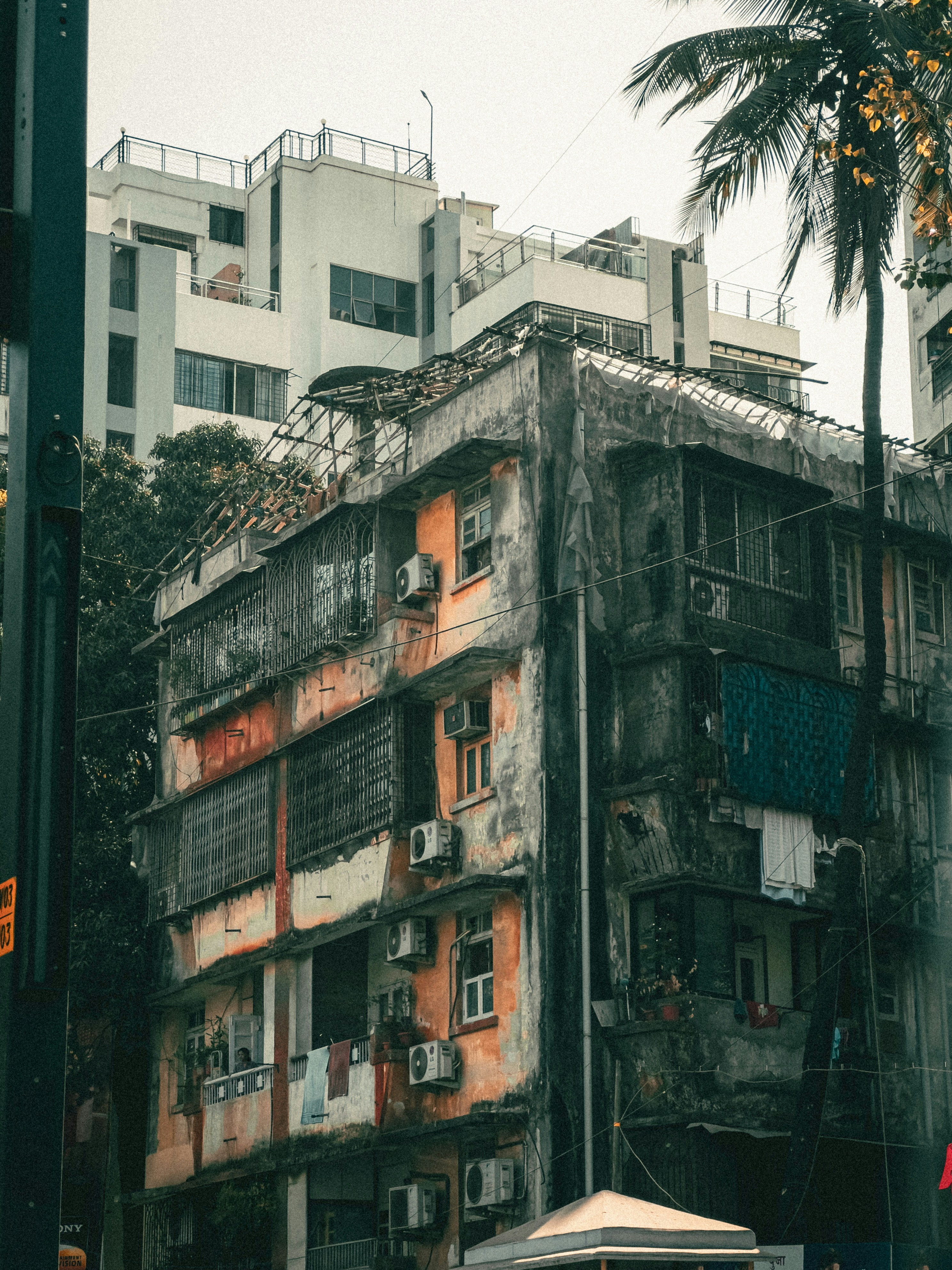 Photo by wondereggperson