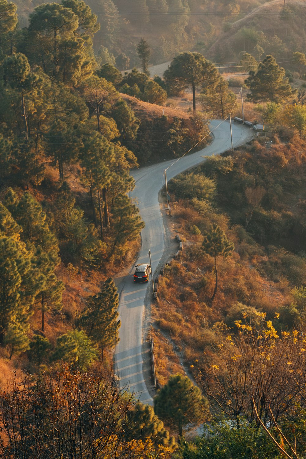 a car driving down a winding road in the woods
