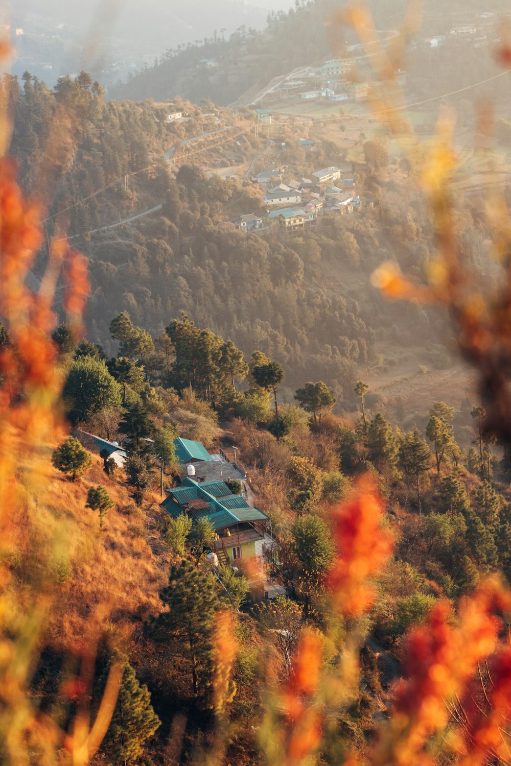 a house on a hill surrounded by trees