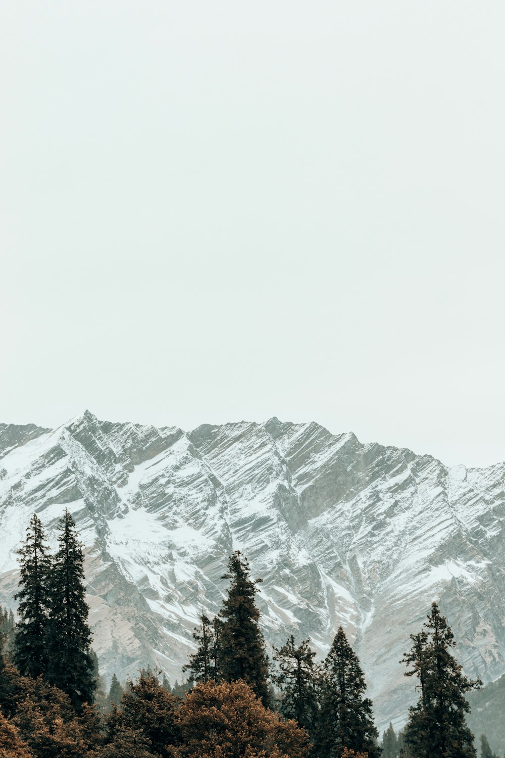 a snow covered mountain with trees in the foreground