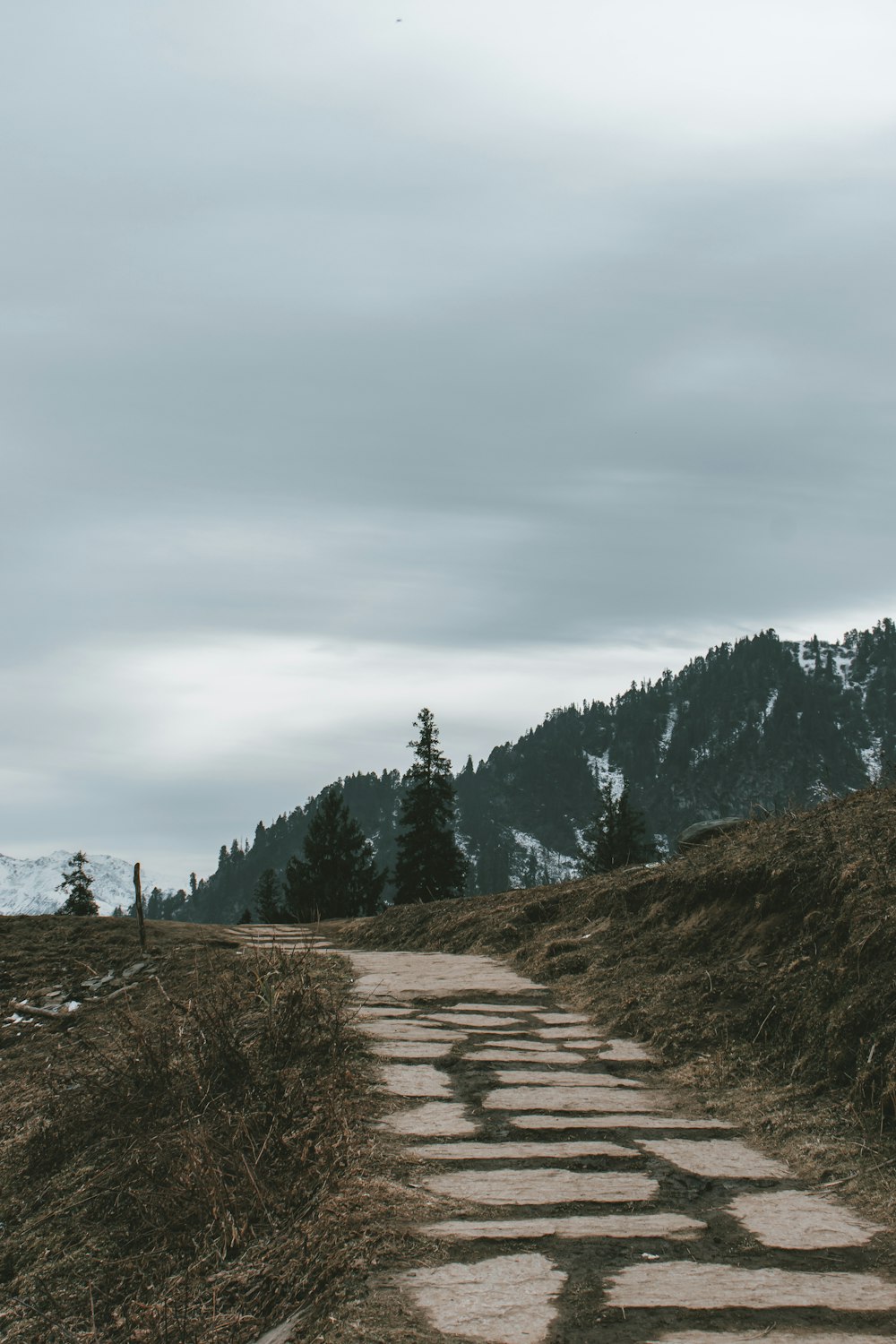 a stone path leading to the top of a mountain