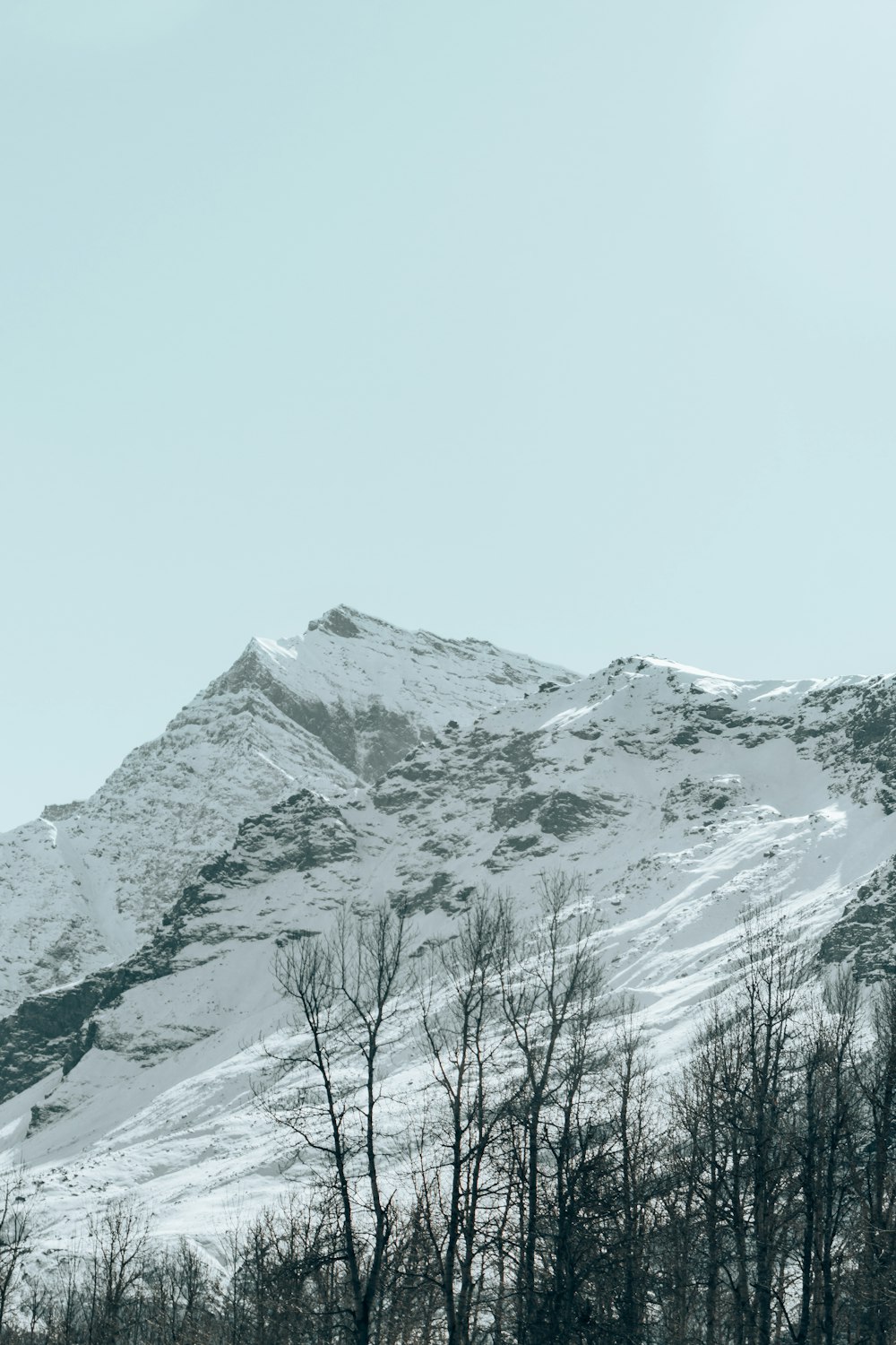 ein schneebedeckter Berg mit Bäumen im Vordergrund