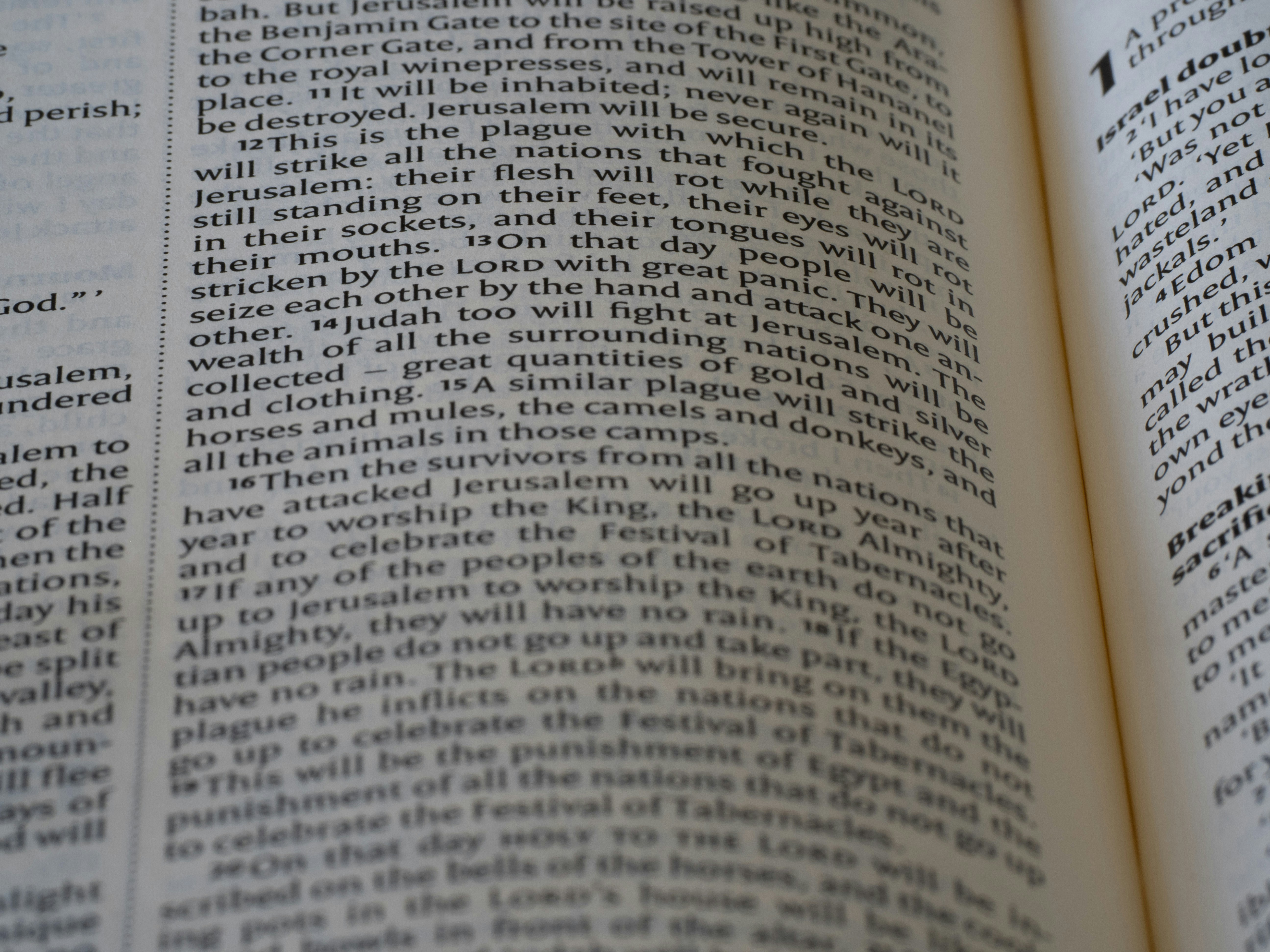 Photo by brett_jordan