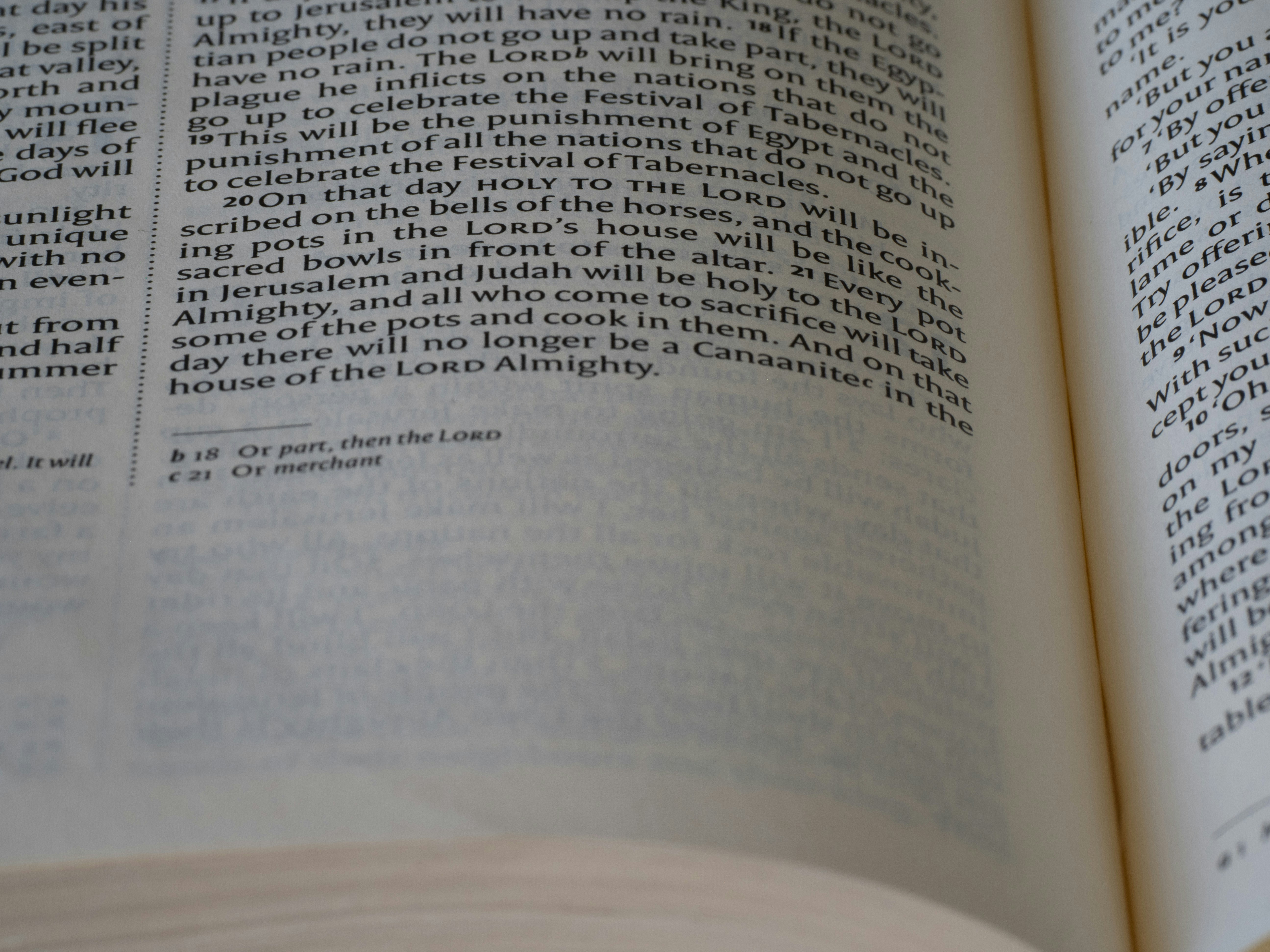 Photo by brett_jordan